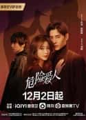 电视剧《危险爱人(2022)》-蓝光4K/1080P/720P/360P高清标清网盘百度云BT种子磁力迅雷下载