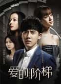 电视剧《爱的阶梯(2016)》-蓝光4K/1080P/720P/360P高清标清网盘百度云BT种子磁力迅雷下载