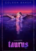 电影《好消息 Taurus(2022)》-蓝光4K/1080P/720P/360P高清标清网盘百度云BT种子磁力迅雷下载