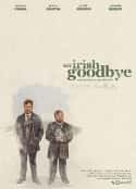 电影《爱尔兰式告别 An Irish Goodbye(2022)》-蓝光4K/1080P/720P/360P高清标清网盘百度云BT种子磁力迅雷下载