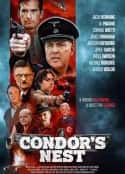 电影《秃鹰的巢穴 Condor's Nest(2022)》-蓝光4K/1080P/720P/360P高清标清网盘百度云BT种子磁力迅雷下载
