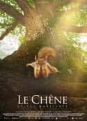 电影《橡树 Le chêne(2022)》-蓝光4K/1080P/720P/360P高清标清网盘百度云BT种子磁力迅雷下载