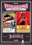 电影《炸天小姐 Lady.Dynamite(1983)》-蓝光4K/1080P/720P/360P高清标清网盘百度云BT种子磁力迅雷下载