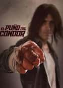 电影《雕形拳 El Puño del Cóndor(2023)》-蓝光4K/1080P/720P/360P高清标清网盘百度云BT种子磁力迅雷下载