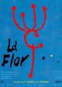 电影《花 La Flor(2018)》-蓝光4K/1080P/720P/360P高清标清网盘百度云BT种子磁力迅雷下载