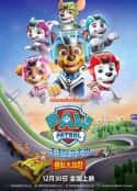 动漫电影《汪汪队立大功之勇敢大营救 Paw Patrol: Super Rescue(2022)》-蓝光4K/1080P/720P/360P高清标清网盘百度云BT种子磁力迅雷下载