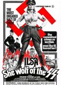 电影《纳粹女魔头之残酷疯淫所 Ilsa: She Wolf of the SS(1975)》-蓝光4K/1080P/720P/360P高清标清网盘百度云BT种子磁力迅雷下载