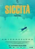 电影《干旱 Siccità(2022)》-蓝光4K/1080P/720P/360P高清标清网盘百度云BT种子磁力迅雷下载