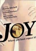 电影《Joy (1977)》-蓝光4K/1080P/720P/360P高清标清网盘百度云BT种子磁力迅雷下载