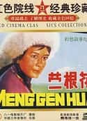 电影《蒙根花(1978)》-蓝光4K/1080P/720P/360P高清标清网盘百度云BT种子磁力迅雷下载