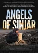 电影《辛贾尔的天使 Angels of Sinjar(2022)》-蓝光4K/1080P/720P/360P高清标清网盘百度云BT种子磁力迅雷下载