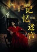电影《记忆迷宫(2023)》-蓝光4K/1080P/720P/360P高清标清网盘百度云BT种子磁力迅雷下载