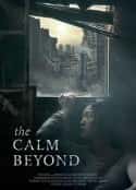 电影《平静之外 The Calm Beyond(2020)》-蓝光4K/1080P/720P/360P高清标清网盘百度云BT种子磁力迅雷下载