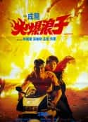 电影《火爆浪子(1991)》-蓝光4K/1080P/720P/360P高清标清网盘百度云BT种子磁力迅雷下载