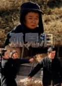 电影《孤儿泪(1995)》-蓝光4K/1080P/720P/360P高清标清网盘百度云BT种子磁力迅雷下载