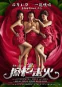 电影《擦枪走火(2015)》-蓝光4K/1080P/720P/360P高清标清网盘百度云BT种子磁力迅雷下载