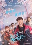 电影《穿过寒冬拥抱你(2021)》-蓝光4K/1080P/720P/360P高清标清网盘百度云BT种子磁力迅雷下载