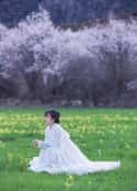 电影《李子柒古香古食(2017)》-蓝光4K/1080P/720P/360P高清标清网盘百度云BT种子磁力迅雷下载