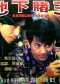 电影《地下赌王 地下賭王(1994)》-蓝光4K/1080P/720P/360P高清标清网盘百度云BT种子磁力迅雷下载