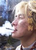 电影《爱情狗(2009)》-蓝光4K/1080P/720P/360P高清标清网盘百度云BT种子磁力迅雷下载