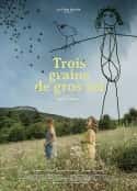 电影《三粒粗盐 Trois Grains de Gros Sel(2021)》-蓝光4K/1080P/720P/360P高清标清网盘百度云BT种子磁力迅雷下载