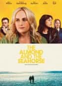 电影《杏仁体与海马体 The Almond and the Seahorse(2022)》-蓝光4K/1080P/720P/360P高清标清网盘百度云BT种子磁力迅雷下载