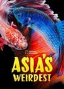 电影《亚洲最奇异 Asia's Weirdest(2021)》-蓝光4K/1080P/720P/360P高清标清网盘百度云BT种子磁力迅雷下载