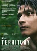 电影《领地 The Territory(2022)》-蓝光4K/1080P/720P/360P高清标清网盘百度云BT种子磁力迅雷下载