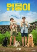 韩国电影《小奶狗 멍뭉이(2023)》-蓝光4K/1080P/720P/360P高清标清网盘百度云BT种子磁力迅雷下载