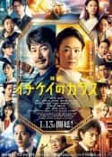 日本电影《1刑的乌鸦 电影版 映画 イチケイのカラス(2023)》-蓝光4K/1080P/720P/360P高清标清网盘百度云BT种子磁力迅雷下载