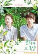 韩国电影《绿阳和少年 보희와 녹양(2018)》-蓝光4K/1080P/720P/360P高清标清网盘百度云BT种子磁力迅雷下载