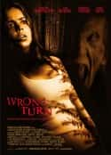 韩国电影《致命弯道 Wrong Turn》-蓝光4K/1080P/720P/360P高清标清网盘百度云BT种子磁力迅雷下载