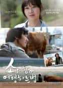 韩国电影《和牛一起旅行的方法 소와 함께 여행하는 법(2010)》-蓝光4K/1080P/720P/360P高清标清网盘百度云BT种子磁力迅雷下载