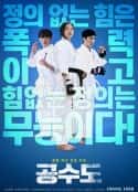韩国电影《空手道 공수도(2019)》-蓝光4K/1080P/720P/360P高清标清网盘百度云BT种子磁力迅雷下载