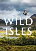 欧美电视剧《野性英伦 Wild Isles(2023)》-蓝光4K/1080P/720P/360P高清标清网盘百度云BT种子磁力迅雷下载