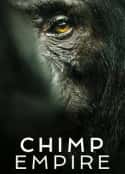 欧美电视剧《黑猩猩帝国 Chimp Empire(2023)》-蓝光4K/1080P/720P/360P高清标清网盘百度云BT种子磁力迅雷下载