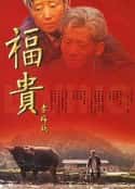 电视剧《福贵(2005)》-蓝光4K/1080P/720P/360P高清标清网盘百度云BT种子磁力迅雷下载