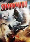 电影《鲨卷风 Sharknado(2013)》-蓝光4K/1080P/720P/360P高清标清网盘百度云BT种子磁力迅雷下载