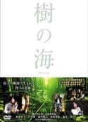 电影《树之海 樹の海(2004)》-蓝光4K/1080P/720P/360P高清标清网盘百度云BT种子磁力迅雷下载