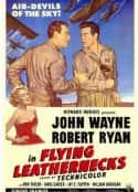 电影《浴血火海 Flying Leathernecks(1951)》-蓝光4K/1080P/720P/360P高清标清网盘百度云BT种子磁力迅雷下载