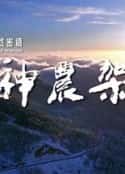 电视剧《自然密语：神农架(2017)》-蓝光4K/1080P/720P/360P高清标清网盘百度云BT种子磁力迅雷下载
