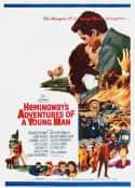 电影《一个年轻人的冒险 Hemingway's Adventures of a Young Man(1962)》-蓝光4K/1080P/720P/360P高清标清网盘百度云BT种子磁力迅雷下载