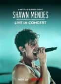 电影《肖恩·门德斯：巡回演唱会纪实 Shawn Mendes: Live in Concert(2020)》-蓝光4K/1080P/720P/360P高清标清网盘百度云BT种子磁力迅雷下载