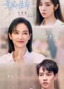 电视剧《亲爱的生命(2022)》-蓝光4K/1080P/720P/360P高清标清网盘百度云BT种子磁力迅雷下载