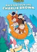 电影《史努比的惊险夏令营 Race for Your Life, Charlie Brown(1977)》-蓝光4K/1080P/720P/360P高清标清网盘百度云BT种子磁力迅雷下载