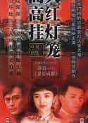 电视剧《大红灯笼高高挂 大紅燈籠高高掛(1992)》-蓝光4K/1080P/720P/360P高清标清网盘百度云BT种子磁力迅雷下载