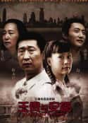 电视剧《王贵与安娜(2009)》-蓝光4K/1080P/720P/360P高清标清网盘百度云BT种子磁力迅雷下载