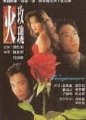电视剧《火玫瑰(1992)》-蓝光4K/1080P/720P/360P高清标清网盘百度云BT种子磁力迅雷下载