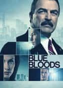 欧美电视剧《警察世家 第十一季 Blue Bloods Season 11(2020)》-蓝光4K/1080P/720P/360P高清标清网盘百度云BT种子磁力迅雷下载