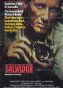 电影《萨尔瓦多 Salvador(1986)》-蓝光4K/1080P/720P/360P高清标清网盘百度云BT种子磁力迅雷下载